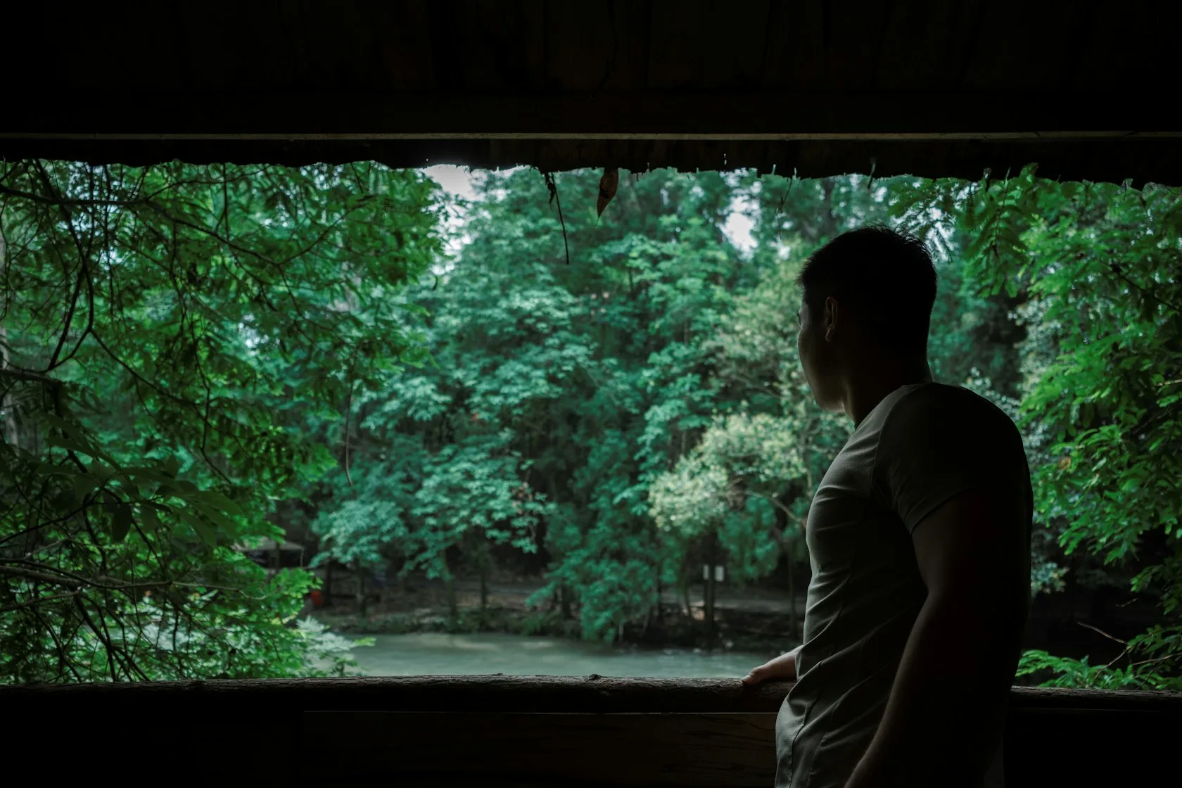 Persona contemplando con calma un bosque: salir del concurso de persona física con exoneración de deudas